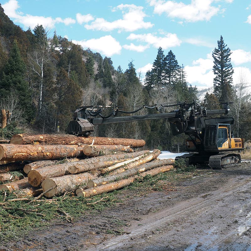 logging side image - Logging